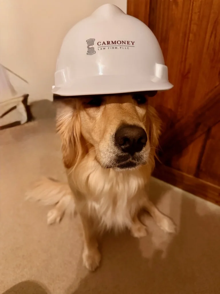 A dog wearing a hard hat, looking playful and ready for work, sits against a blurred outdoor background