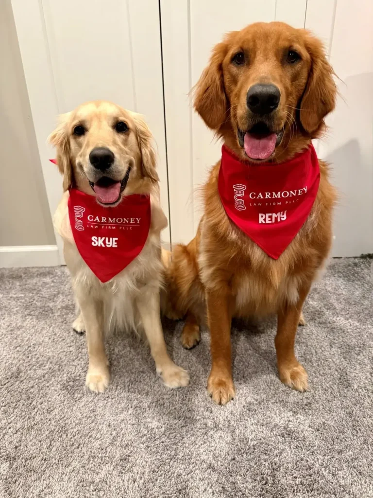 Two dogs adorned with red bandanas are seated on the floor, appearing calm and friendly